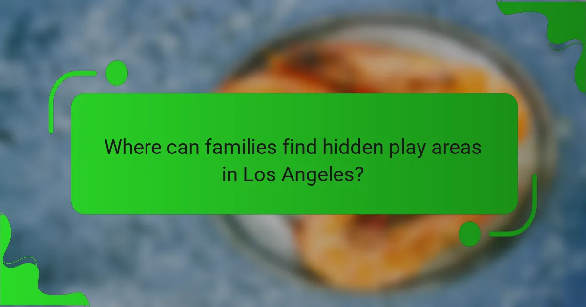 Where can families find hidden play areas in Los Angeles?
